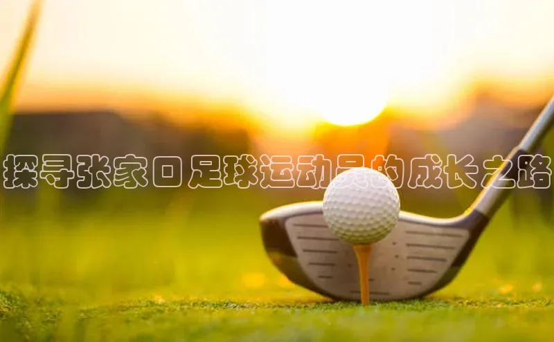 j9九游会登录入口首页旧版度小满支付探寻张家口足球运动员的成长之路