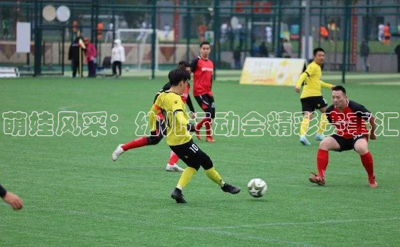 九游j9登录入口首页百度翻译App萌娃风采：幼儿运动会精彩赛事汇