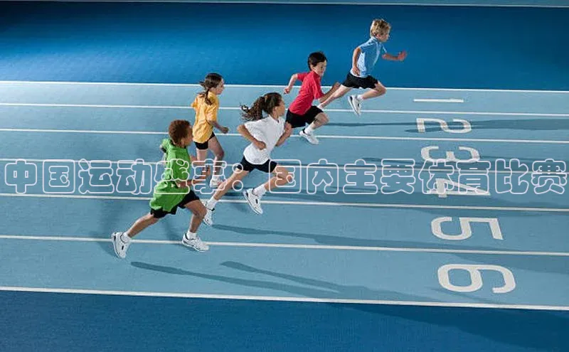 中国运动盛事：国内主要体育比赛