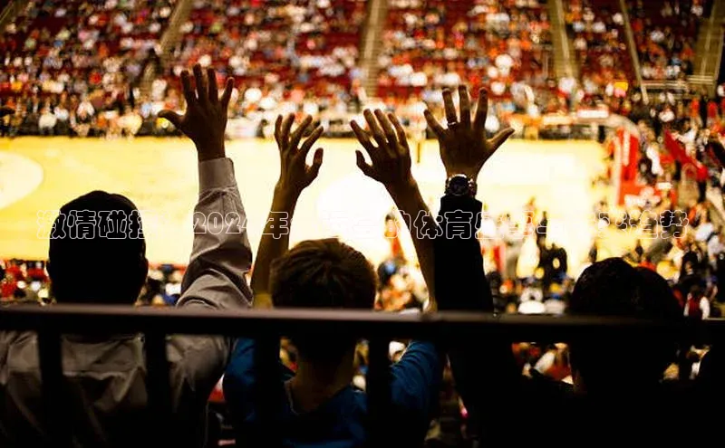 激情碰撞：2024年全运会的体育盛事与未来趋势