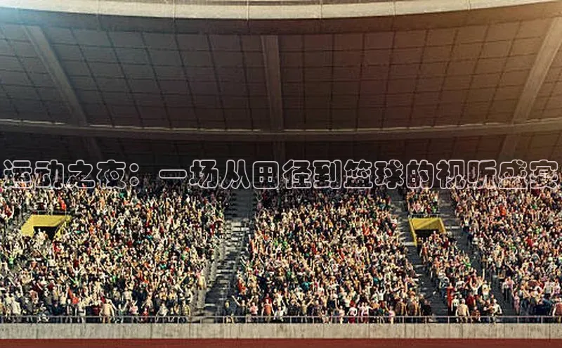 运动之夜：一场从田径到篮球的视听盛宴