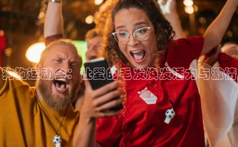 狗狗运动会：让爱的毛发焕发活力与激情
