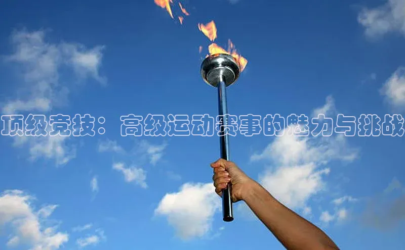 顶级竞技：高级运动赛事的魅力与挑战