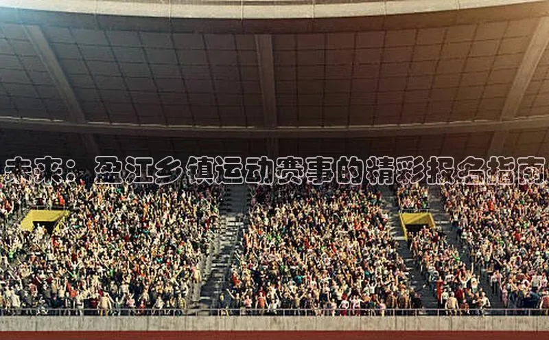 未来：盈江乡镇运动赛事的精彩报名指南